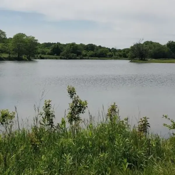 lakeside image in Vandalia, IL